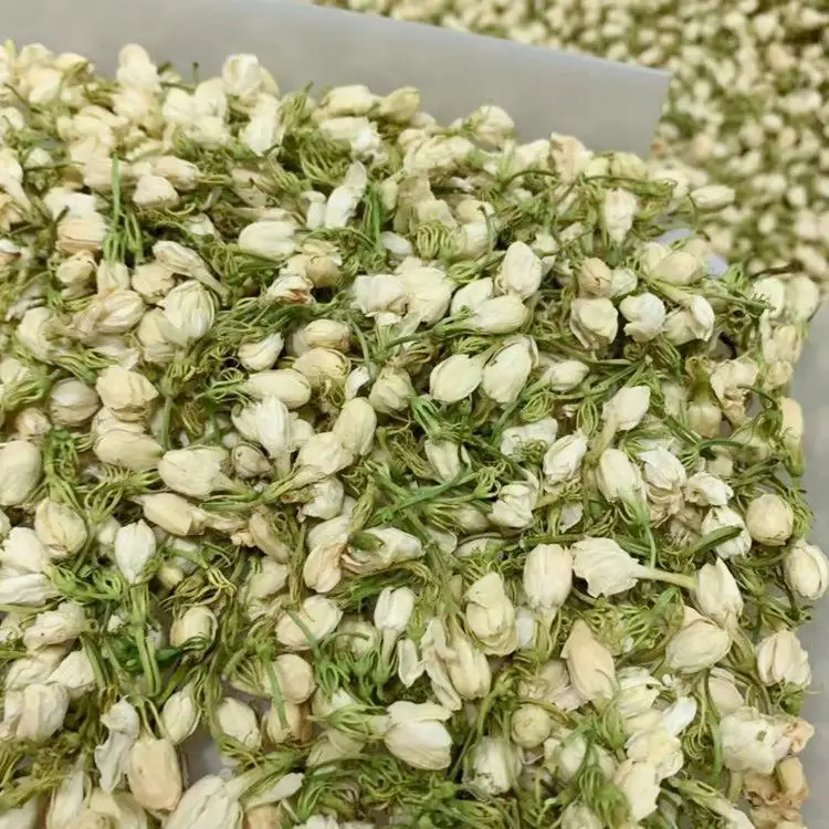New Harvest Hot Sale Herbs Dried Flower Buds Jasmine Blooming Tea Herbal Tea