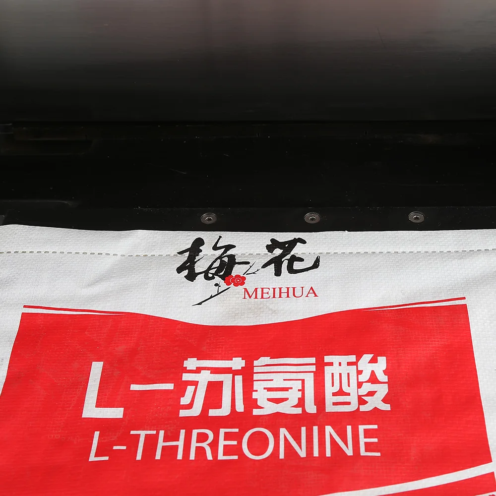 High speed newlong grain rice bag closer sewing machine JP.LGZ680