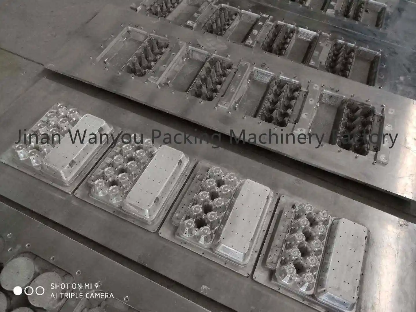 Jinan disposable egg carton egg tray molding machine