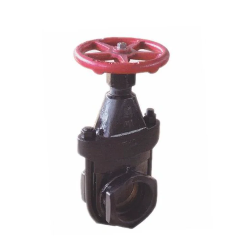 os&y solid wedge disc inside screw clip cast iron gate valve