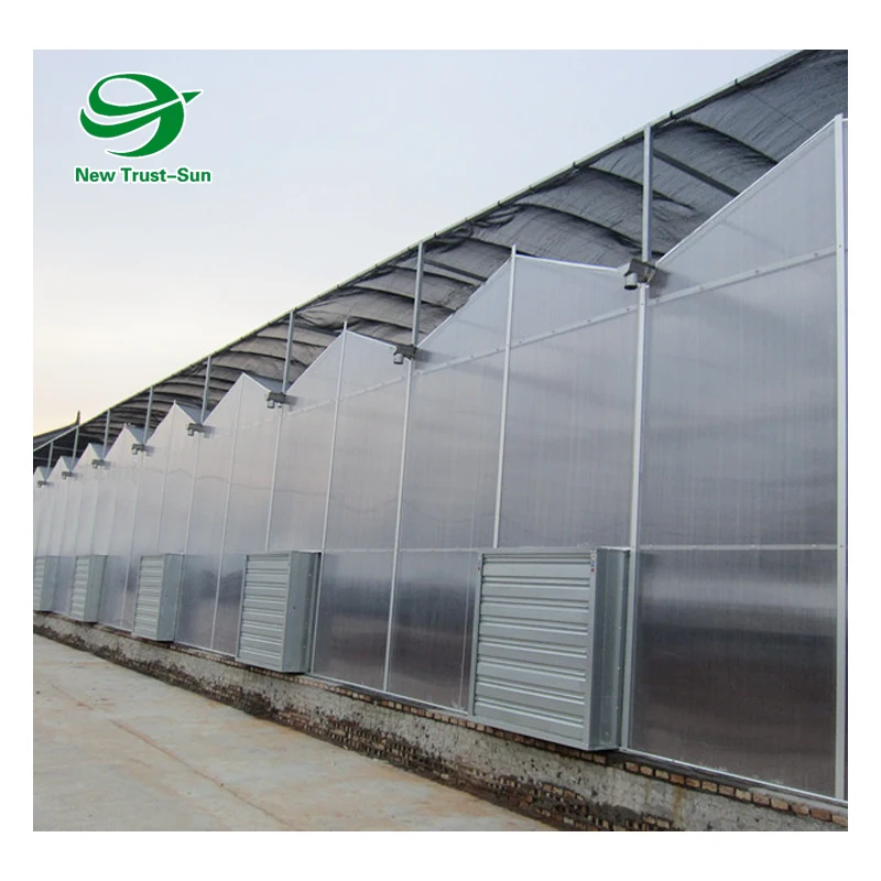 
High quality polycarbonate sheet tropical greenhouse for tomato cultivation 