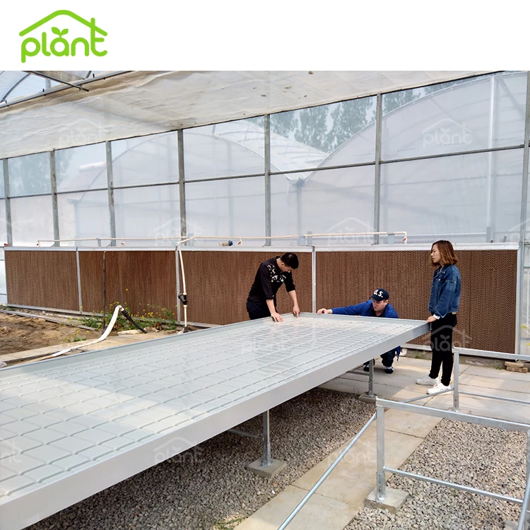 Ebb and Flow Rolling Bench Greenhouse Movable Seed Growing Flood Tray for Sale