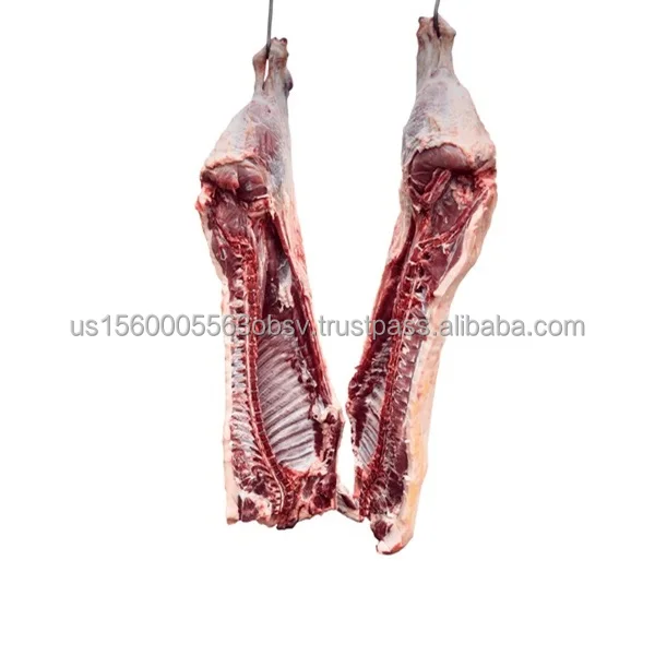 Frozen beef carcass wholesale prices Best beef carcass prices