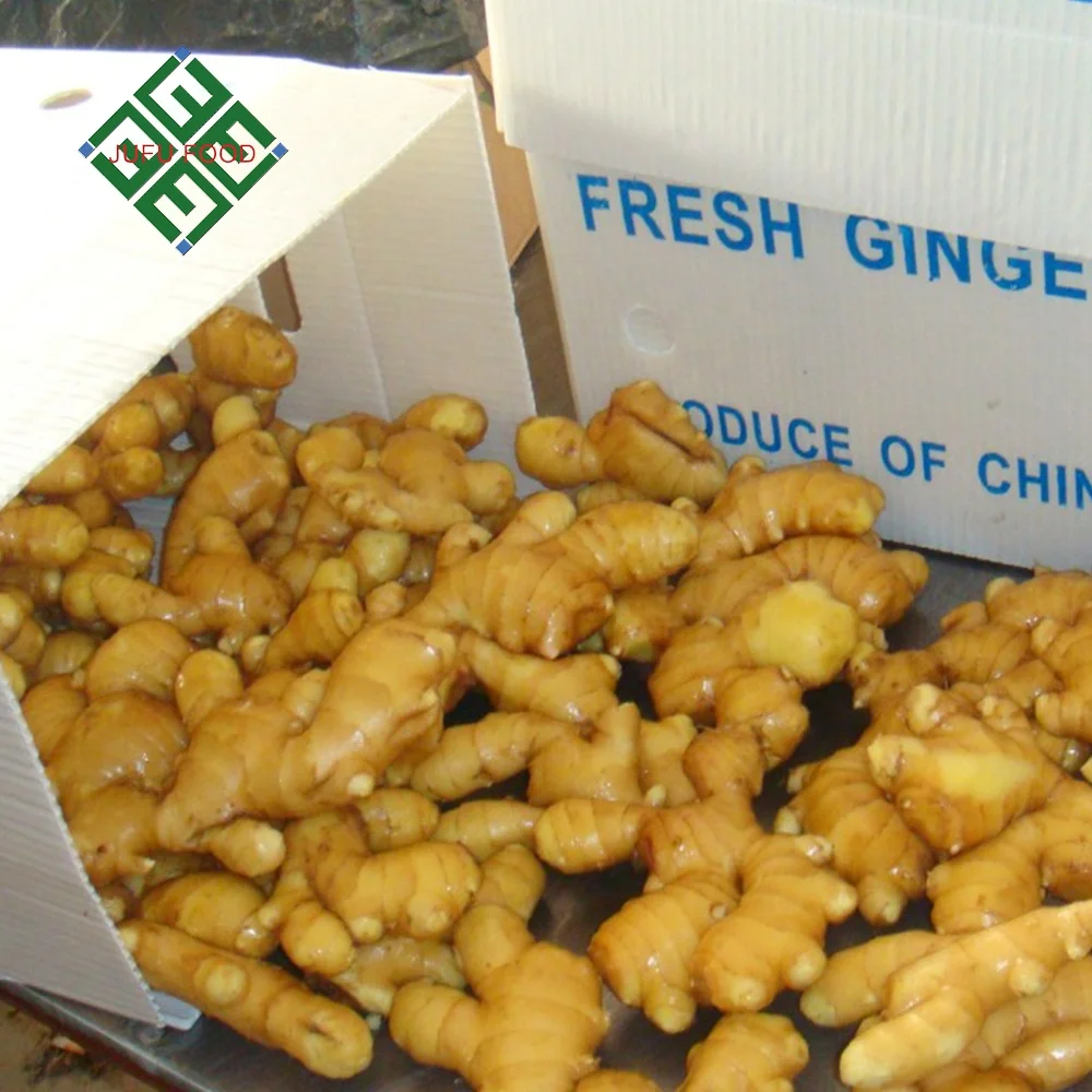 2023 Yellow Fresh Ginger of Carton and PVC Box Packing