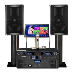 Профессиональная система караоке InAndOn с динамиком 4K Hifi KTV, набор для караоке с беспроводным микрофоном