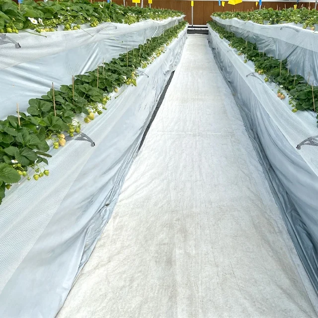 Cheap Wholesale High Quality Hot Sell Agriculture Greenhouse Anti Grass Poly Cloth