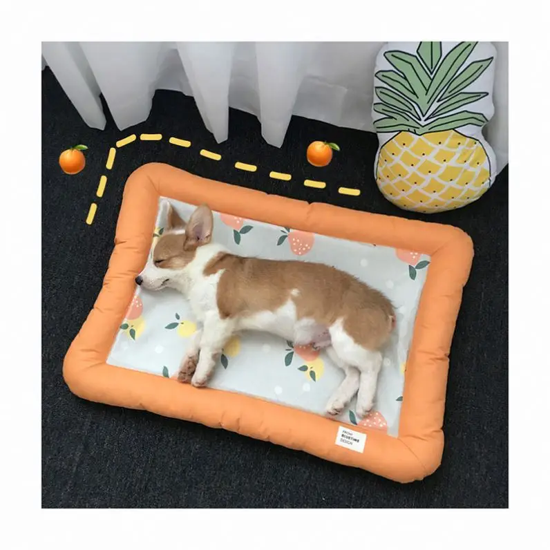 Pet beds for summer