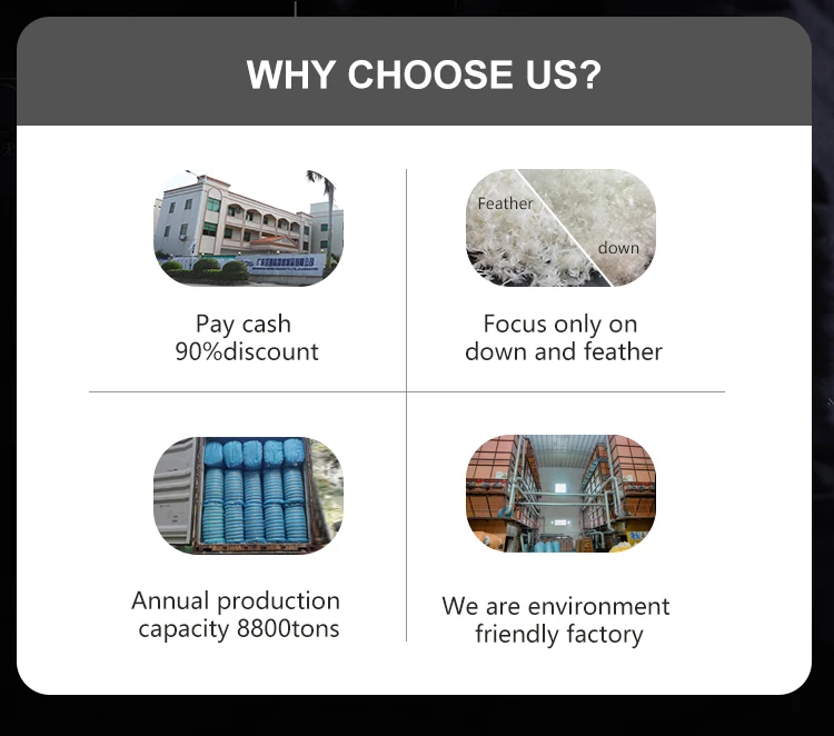 European standard washed 800 fill power white grey goose down feathers for sale