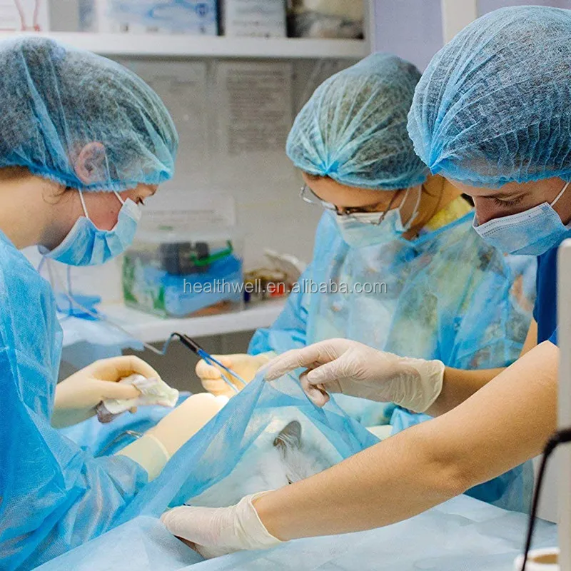 Wholesale Nursing Scrubs Hat Nurse Head Cover Nonwoven Clip/Bouffant Caps