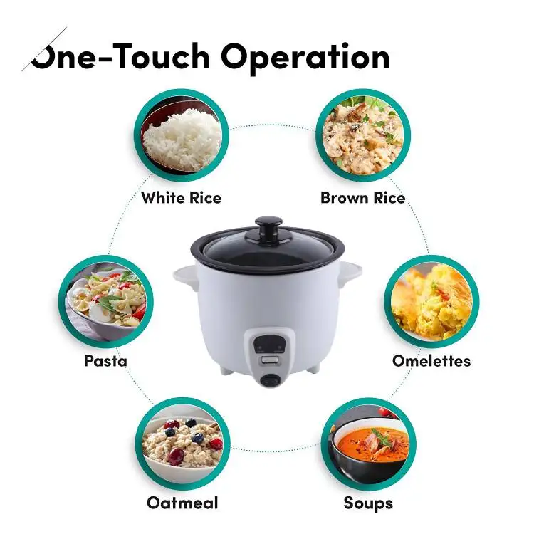 National Electric Stainless Steel Personal Mini Rice cooker 1L