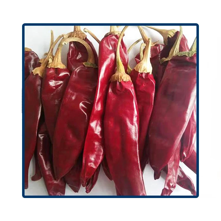 Single Spices&herbs Supplier Wholesales High Quality Dried Dry Red Chilli paprike