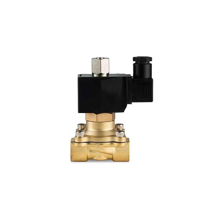 stainless steel brass AC DC copper coil 24v 220v air steam thread G solenoid valve