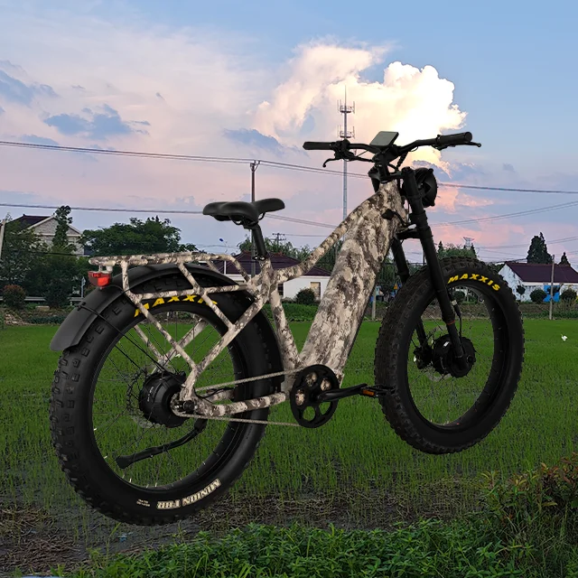 Несколько режимов дисплея прочный водонепроницаемый ЖК-дисплей Snow Bike и EBike
