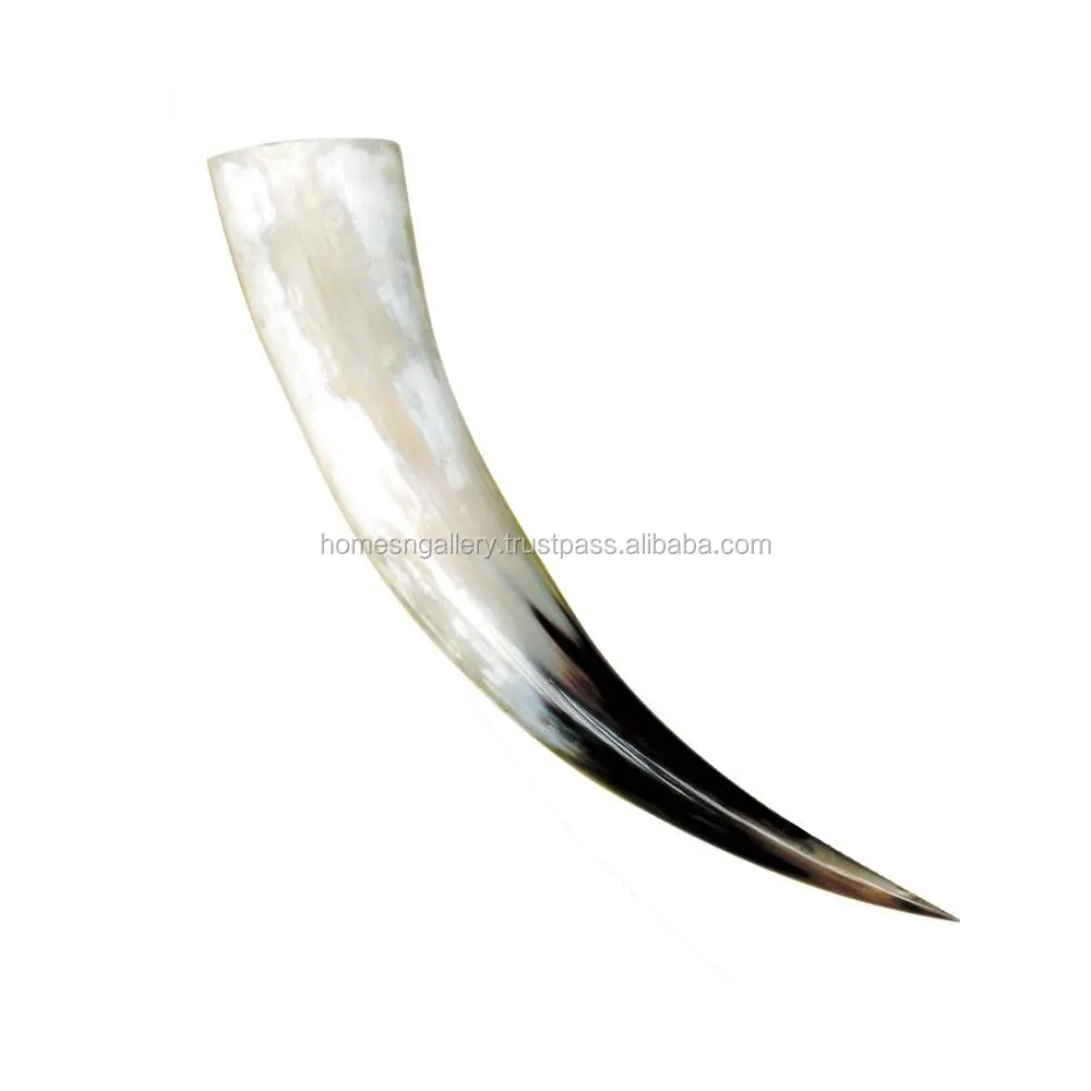Buffalo/OX Drinking Horn with Brass Rib and Stand