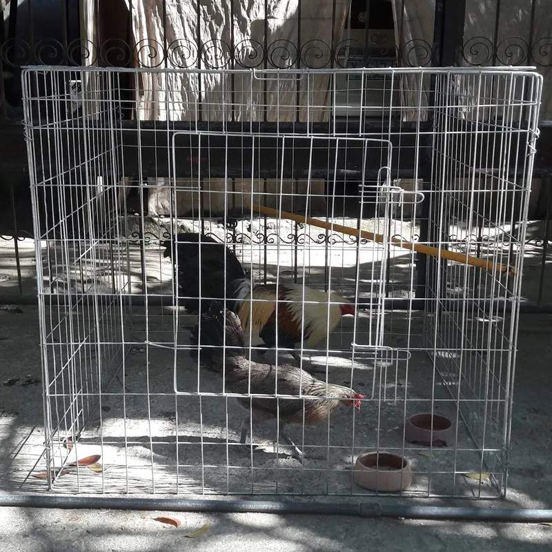  60x40x60 chicken cage/chicken pen/cages for