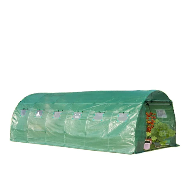 
Industrial Poly Tunnel Balcony Family Garden Greenhouse for Cucumber/Tomato 
