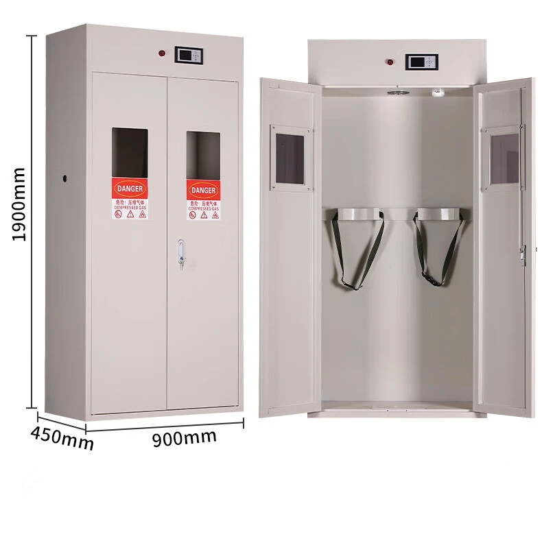 Industrial-Style Gas Cylinder Safety Cabinet Fireproof Metal School Hospital Warehouse Workshop Laboratory Use Wood-Paneled