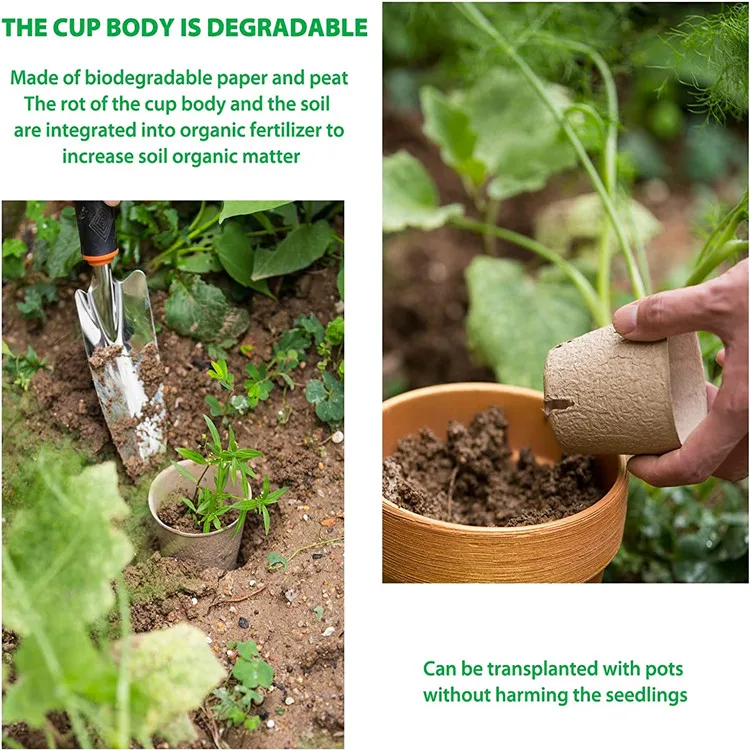disposable Biodegradable paper Seed Starter Pots for starting flowers herbs vegetable saplings