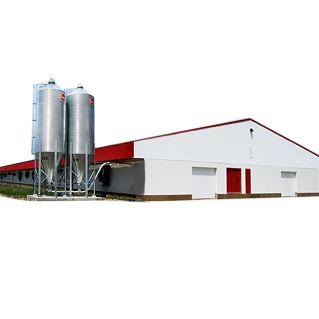 Low Cost Poultry Control Shed Construction Light Steel Structure System Poultry Farm in China