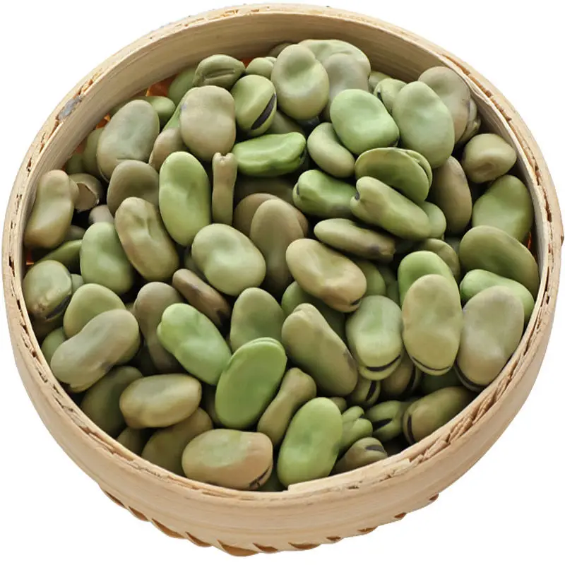 Wholesale factory chinese   dried  green broad beans  for bulk