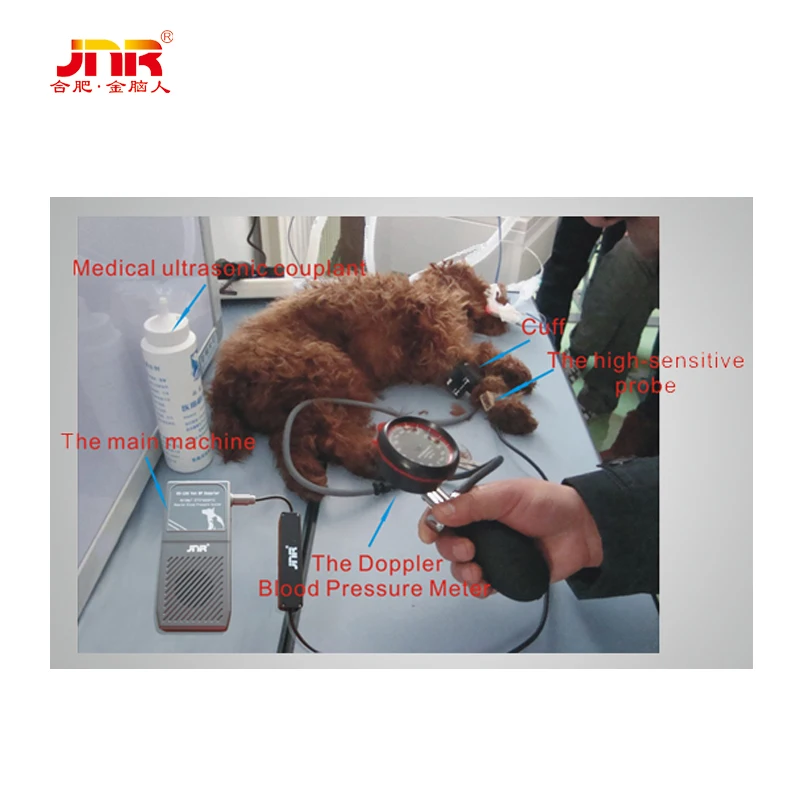 DS-100 Vet BP Doppler