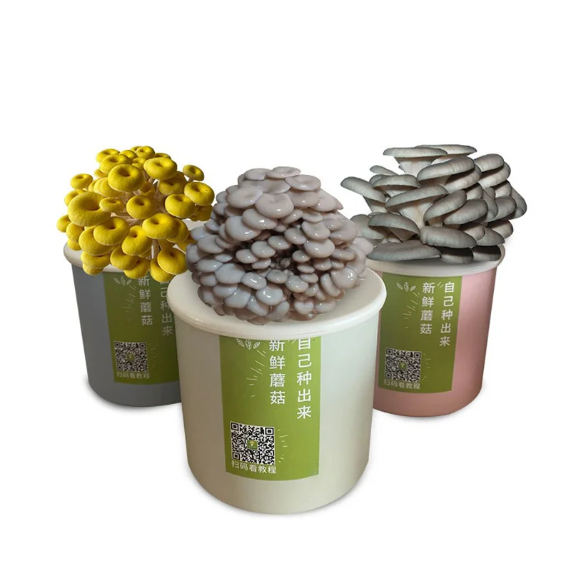 Лидер продаж пакет для выращивания грибов семена spawn Pleurotus Ostreatus