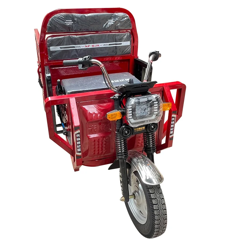 New Type Electric Cargo 3 Wheel Electric Motorcycle Tricycle Electric Bike With Rain Cover