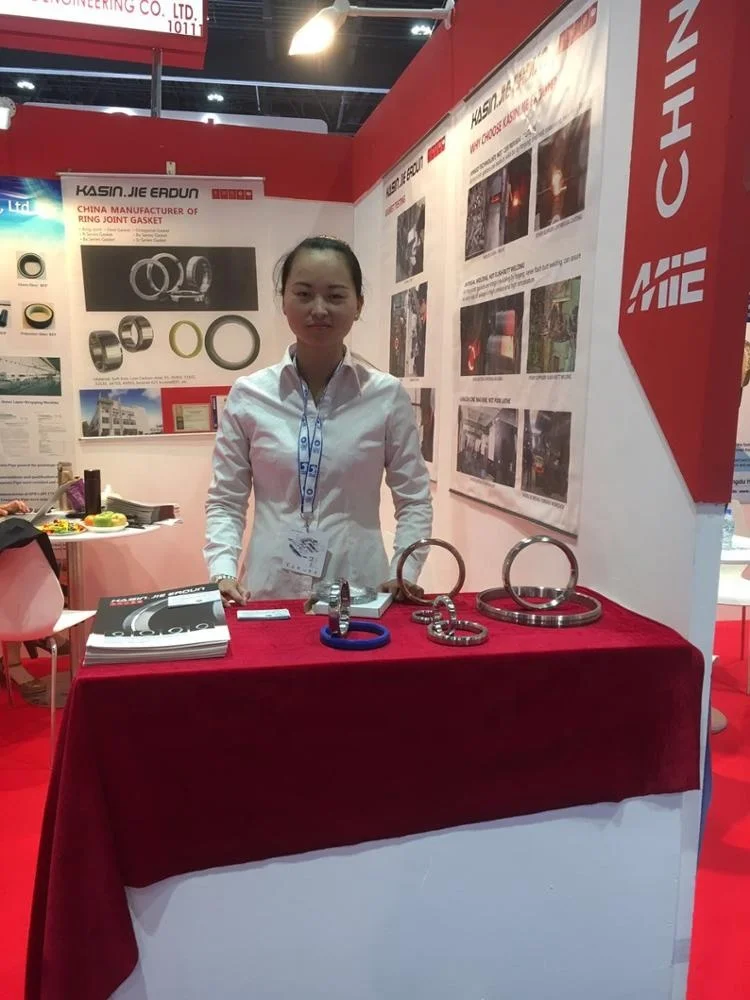 Best Selling API 6A RX R Series SS Ring Joint Gasket RTJ Sealing Gasket