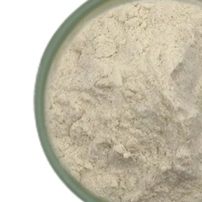 Plantago ovata Extract Natural Psyllium Husk Extract Psyllium Seed Husk Powder