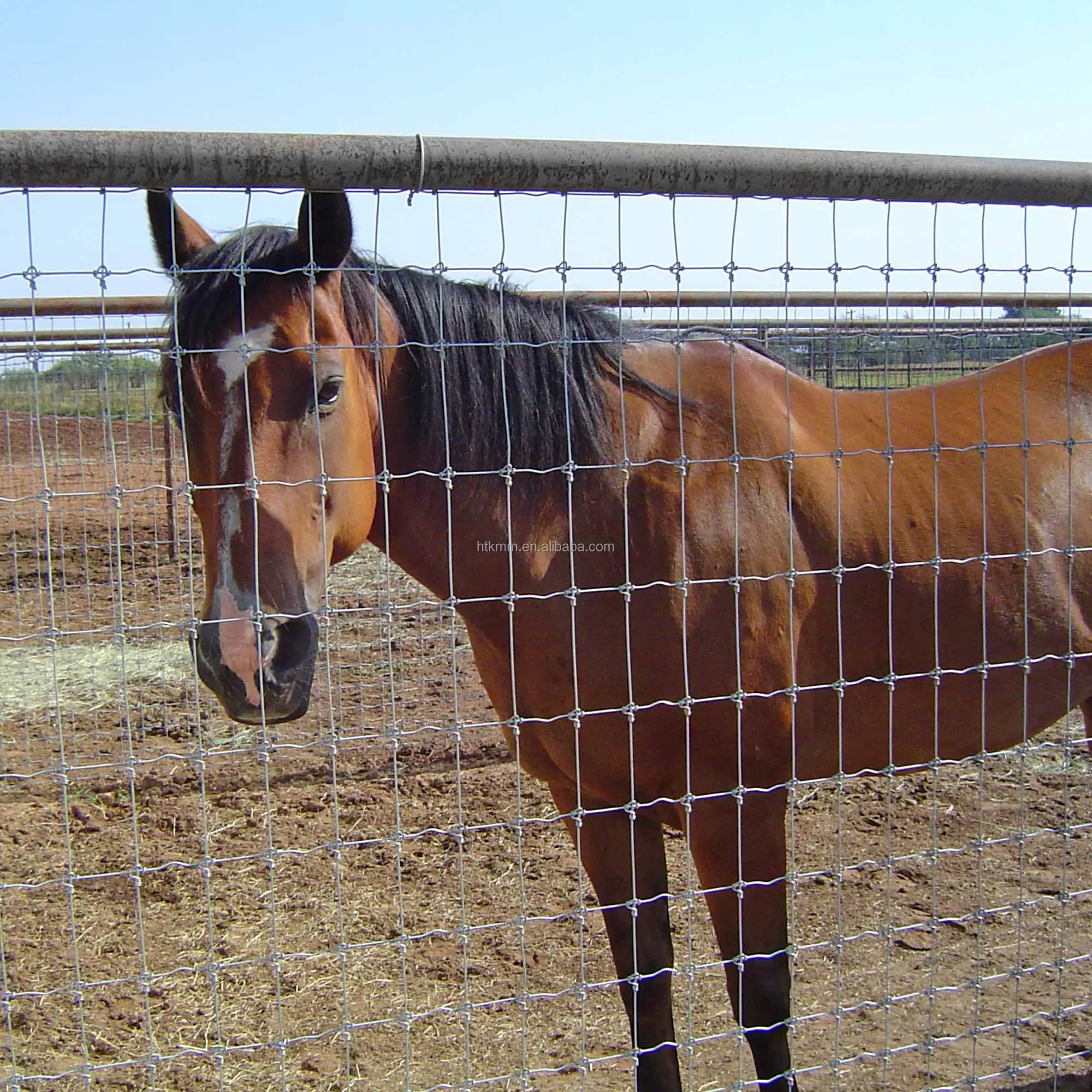 heavy duty fixed knot woven wire field game fence/ Galvanized Sheep Farm Fence Factory Price/ 2.2mm 2.5mm 2.7mm wire farm fence