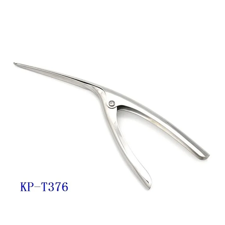 KP-T376.JPG