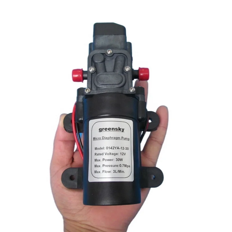 Grimmsky Factory Directly Sale 3L/Min DC 30W Self-priming 12V DC Mini Water Pump