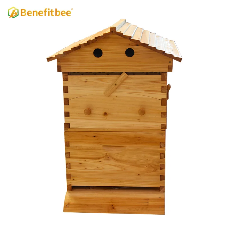 Wax Coated Cedar Wood Automatic Self-Flowing Honey Bee Hive