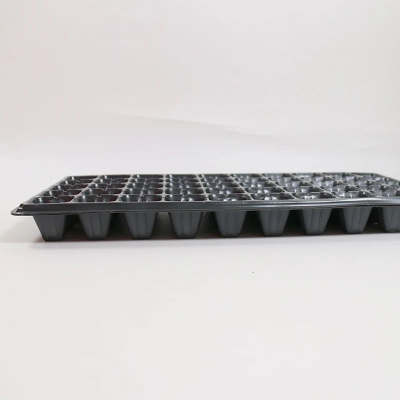Microgreen Trays Extra Strength Shallow Seed Starting 1020 Plant Germination Tray With Holes for  Wheatgrass