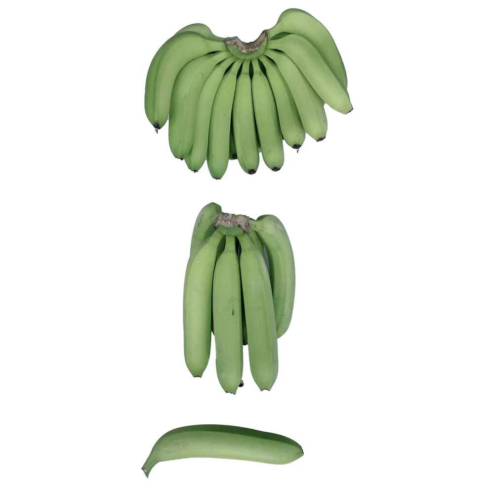 Fresh Delicious Healthy Nutrition Excellent Grade A456 Cavendish Banana Good Price Customize Accept OEM ODM Service