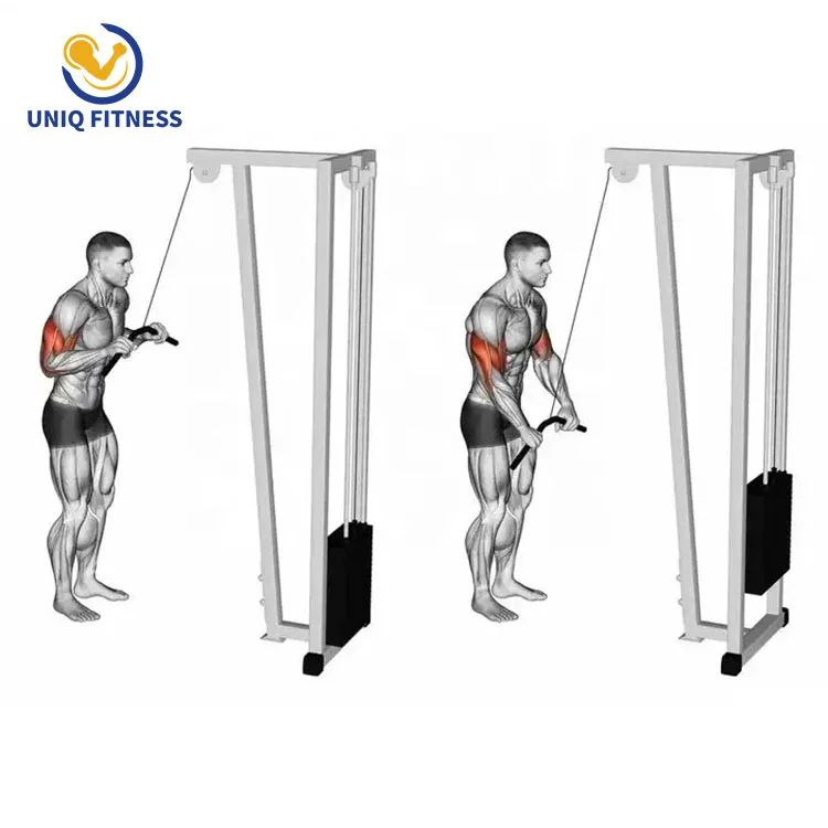 UNIQ Quality assurance Gym Cable Pull Down Tricep Rope