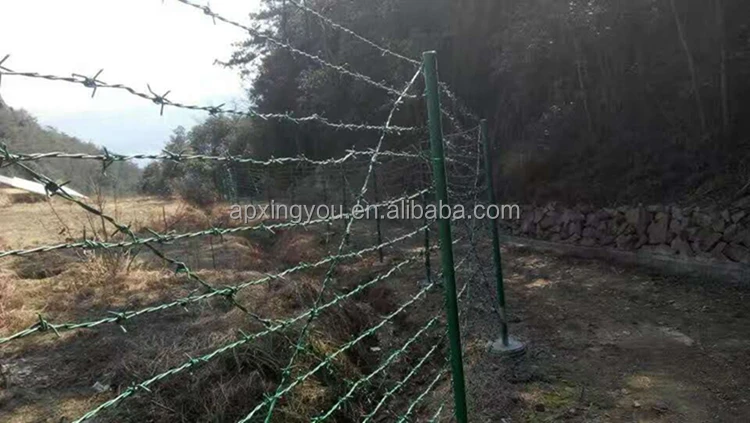 Заводская цена высокое качество горячеоцинкованная колючая проволока забор