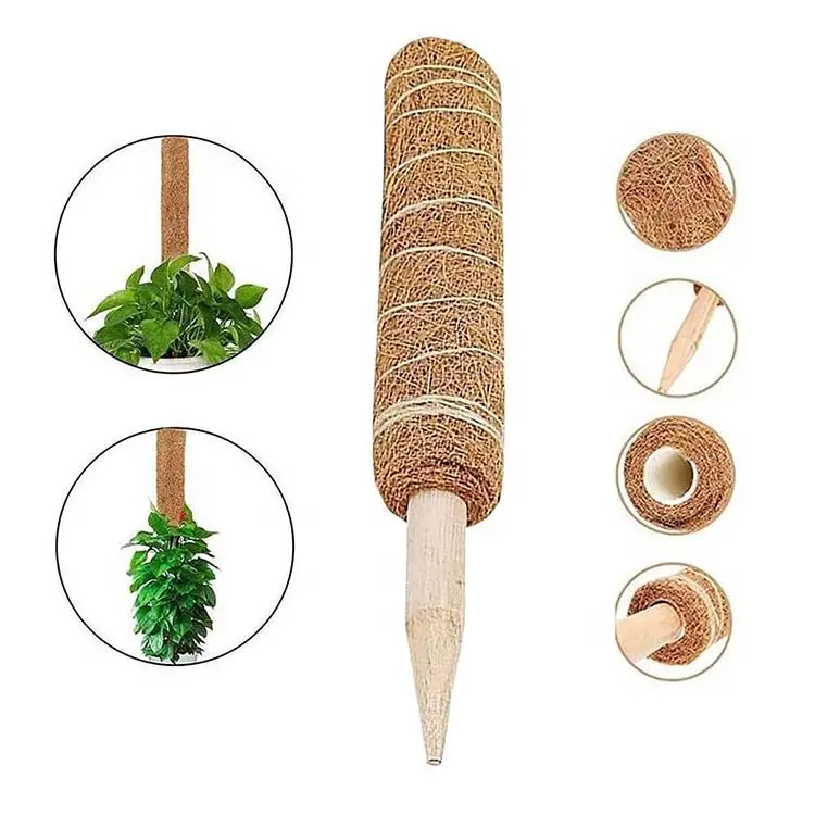 Best Selling   Deformable Plant Climbing Frame Coconut Palm Green Radish Gardening Bracket Coconut Palm Sticks Moss Pole