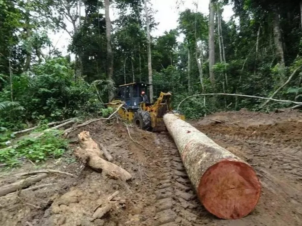 skidder forestry tractor forest tractor timber tractorforest skidder forestry winch forest winch timber log winch