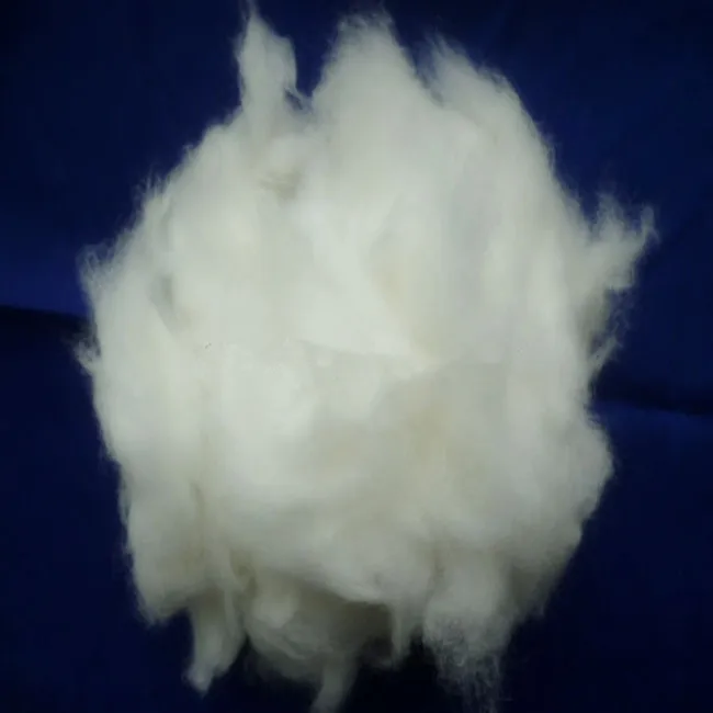 Китайский 100% чистый Ангорский кролик