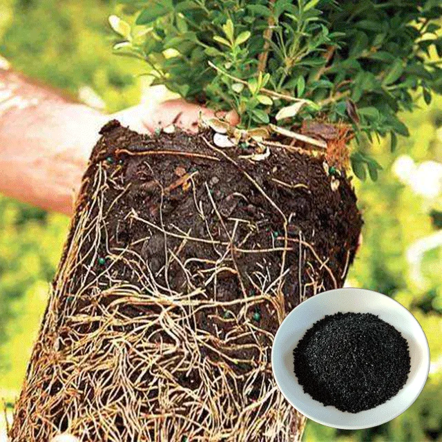 Ningxia Humate 100% water soluble super humic acid 1-4mm size humate potassium granular for plants price