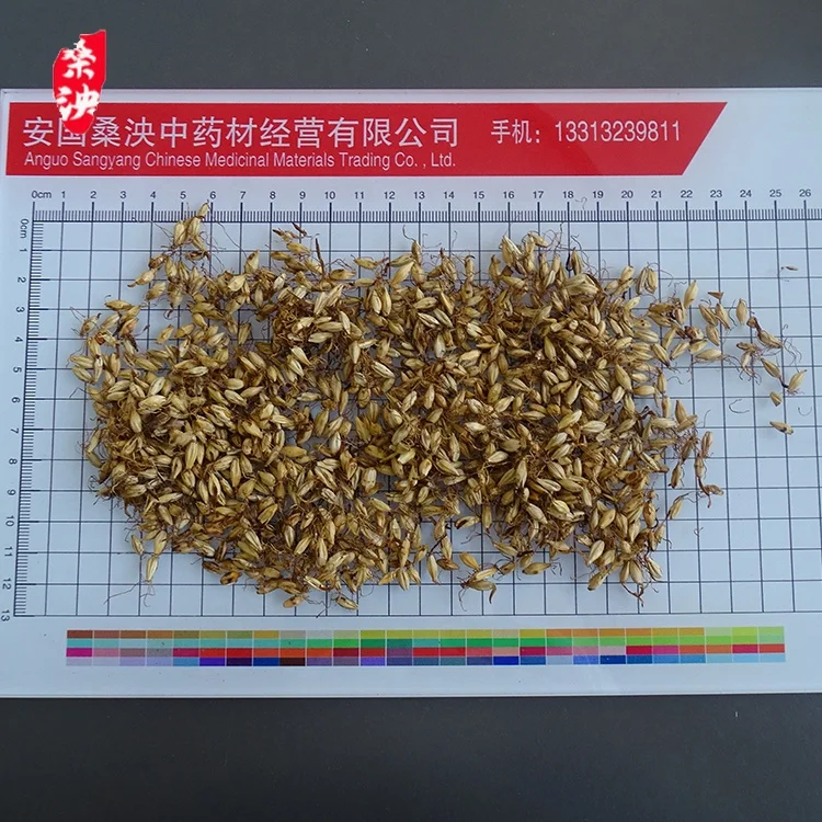 High-quality whole grain processing and concocting fried malt golden yellow malt