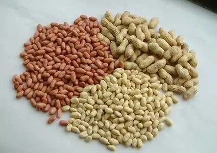 Roasted Blanched Peanut Kernels and Crushed Peanuts
