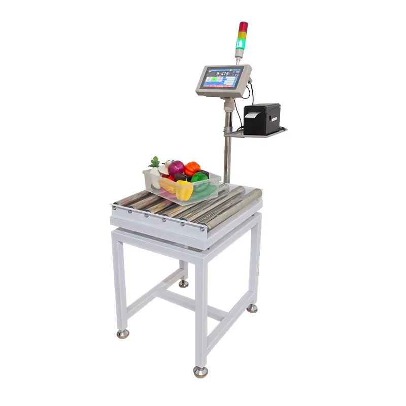 300kg High Quality Conveyor Roller Scale With Printer Check Weigher With LCD Weighing Indicator Automated Checkweigher