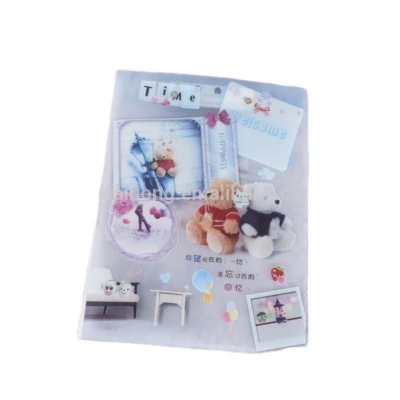 
pp hard plastic clear pages B4 size display folder presentation file folder plastic display book 