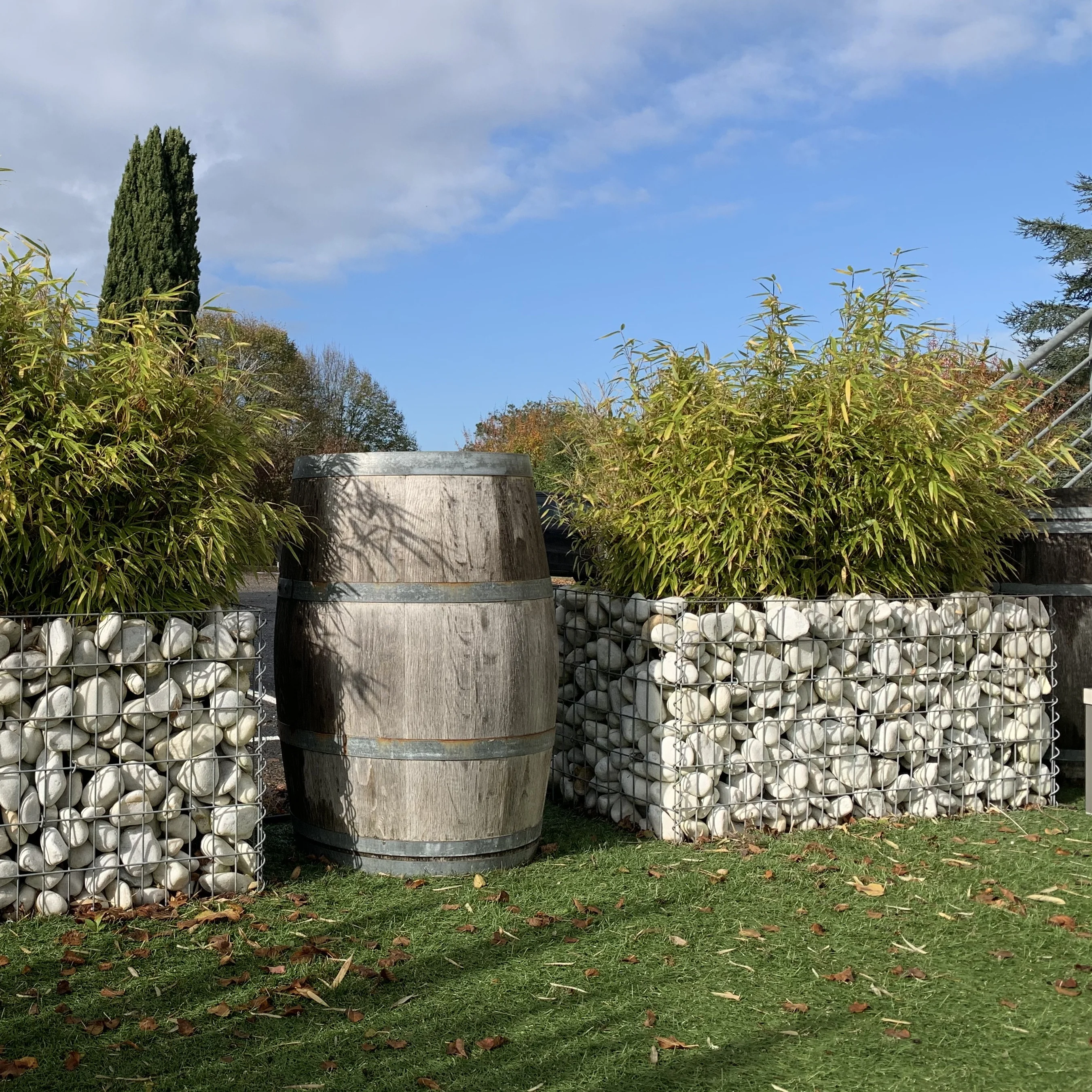 Best Price 50*100mm Galvanized Iron Gabion Basket Waterproof FSC-certified Gabion Box with Coating for Fence Gate Wire Model 3D