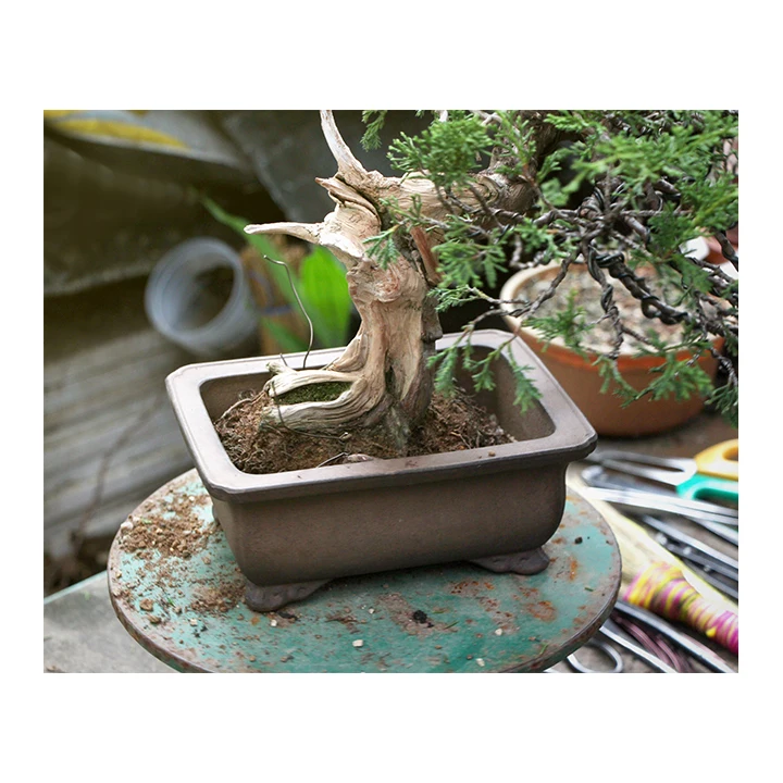 Japanese mini household gardening tools chisel to chisel the bonsai tree