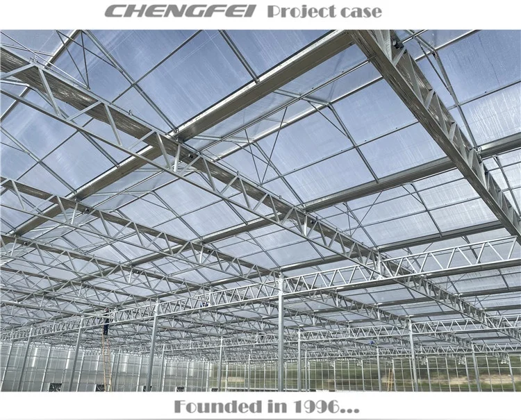 Agricultural large venlo multi-span polycarbonate sheet vegetable greenhouses supplier