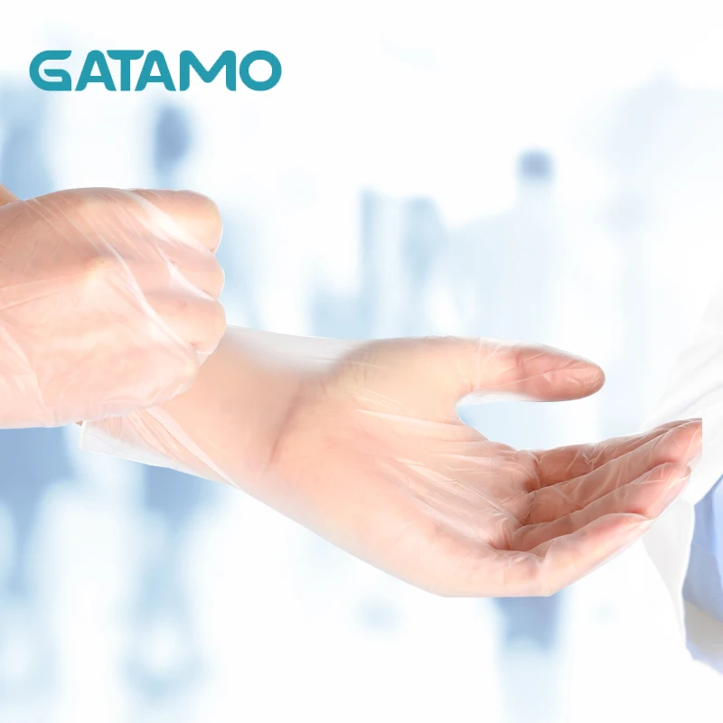 GV9 wholesale examination gloves protective PVC gloves household waterproof exam vinyl gloves