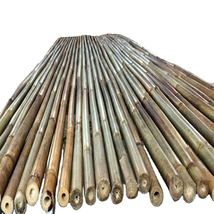 Purple Bamboo Poles,Bamboo Canes